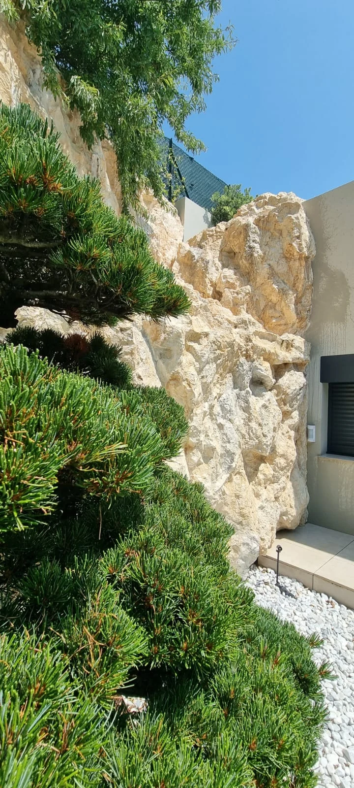 Habillage mural faux rochers – décor naturel avec pins